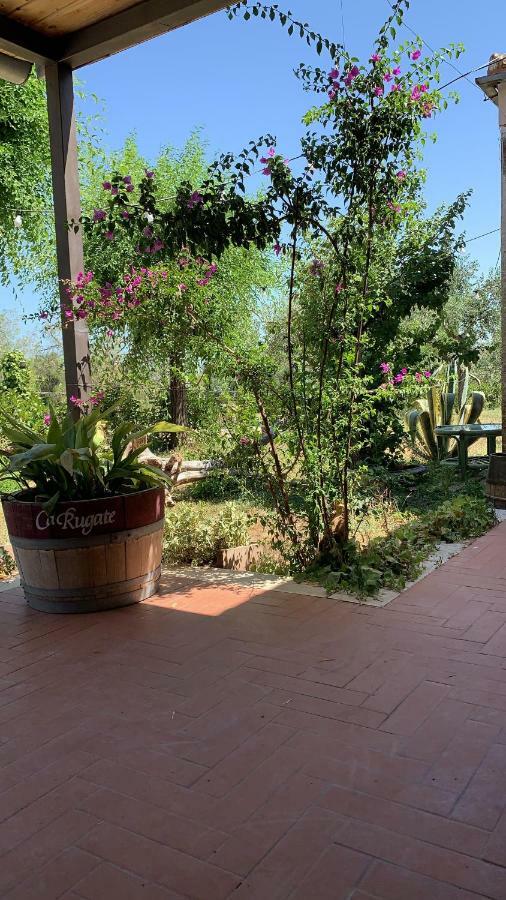 Signor Cesare Agrobistrot B&B Сан Джовани Ротондо Екстериор снимка